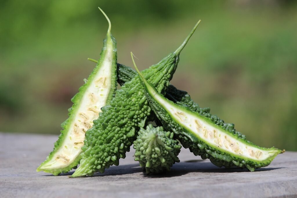 bitter gourd, vegetable, healthy, bitter melon, ingredient, harvest, bitter gourd, bitter gourd, bitter gourd, bitter gourd, bitter gourd, bitter melon